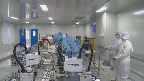 疫情之下 內(nèi)外發(fā)力 企業(yè)發(fā)展添助力