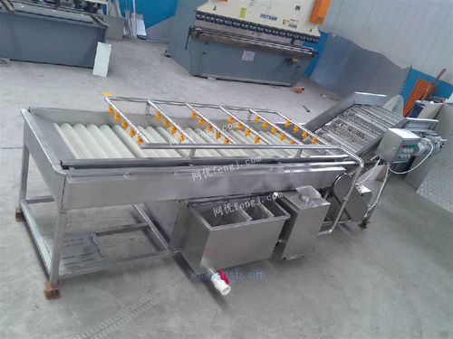 四季香蔥清洗風(fēng)干線與小蔥清洗線 高效清洗技術(shù)與新型汽輪機(jī)的研發(fā)及銷售